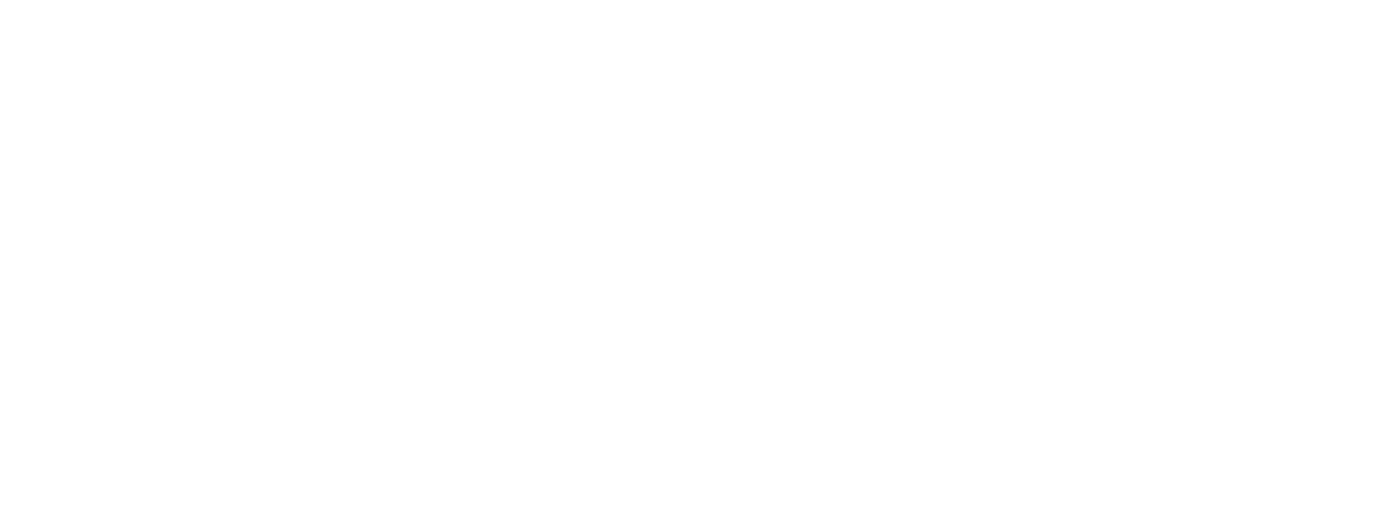 Logo de buwa en color blanco